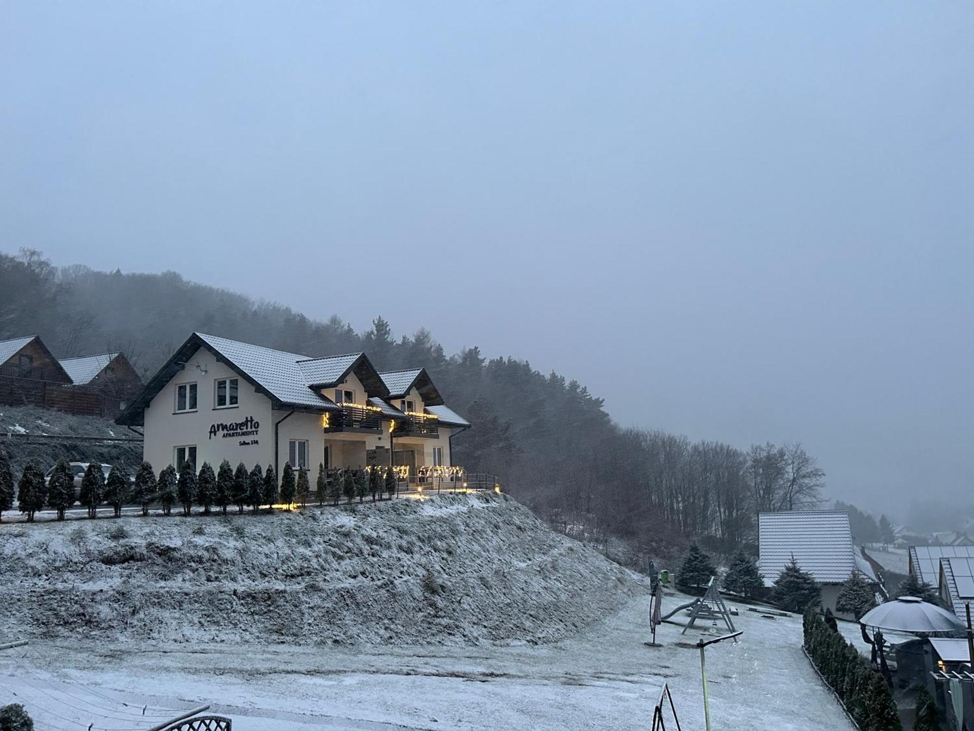 Amaretto Apartamenty Solina - Balia Z Jacuzzi I Sauna Solina (Podkarpackie) Exterior foto